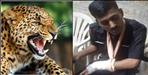 Leopard attack on soldiers in Lansdowne