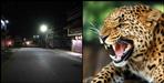 Night curfew in pithoragarh due to leopard