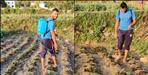 cricketer saurabh rawat doing farming in lockdown