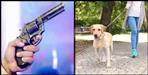 Firing for walking a dog in Haridwar