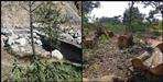 50 thousand hectares of forest land destroyed in Uttarakhand in 20 years says report