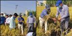 Haridwar dm ias vinay Shankar cut crop in fields