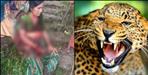 Leopard attacks 60-year-old woman in Basukedar