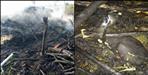 Gaushala fire in pithoragarh