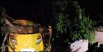 Youth dies after tree falls on car in Haldwani