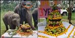 Little elephant Sawan birthday in Corbett National Park