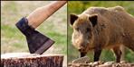 A man killed a wild pig in Almora