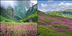 Chinap Valley declared Trek of the Year-2025