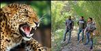 Leopard in Siroli village of Pithoragarh