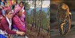 Leopard Kills Woman Collecting Fodder in Pauri Garhwal