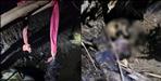 Skeletons of boy and girl found in Haridwar