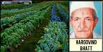 Hargovind bhatt made agriculture the basis of progress at pithoragarh