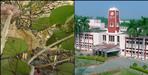 Malu Plant in Uttarakhand Gets New Use in Eco-Friendly Fabric