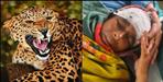Fight between Pithoragarh Deepa Devi and Leopard