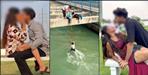 5 teens arrested making obscene social media videos