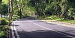 Massive Tree Felling Approved for Uttarakhand Four-Lane Road Project