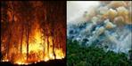 4 people died in jungle fire uttarakhand