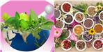 Uttarakhand Will Host its First International Ayurveda Conference