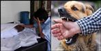 15 year boy died due to dog bite in dehradun