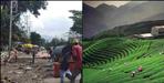 No new construction in Dehradun tea garden Ambiwala