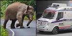 Delivery in ambulance in Ramnagar Uttarakhand