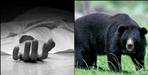 Bear attacks couple in Chamoli