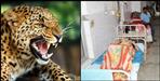 Leopard fear in Haldwani