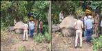 Elephant dead Body found in tanda range