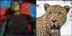 Kids not going to school scared of leopard in kotdwar