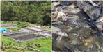 Self Employment From Trout Fishing in Chamoli
