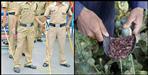 4 accused arrested with illegal opium in uttrakhand