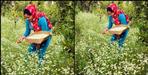 Haldwani Rama Bisht Herbs Cultivation