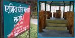 Tomb of Asia largest tree in Uttarkashi