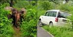 elephants damaged scorpio in Kotdwar