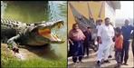 three crocodile enter the village in haridwar