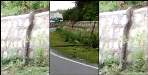 Giant python shown crawling on road dehradun