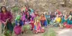 women of Chamoli Theli village are extinguishing the forest fire