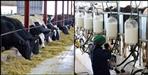 Hitech Milk Dairy to be made in Srinagar Garhwal
