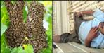 Rajan dies in bee attack in Nanakmatta