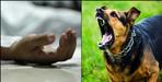 30 year old youth dies of rabies in Dehradun