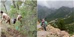 Two People Including Major Died in Road Accident in Uttarakhand