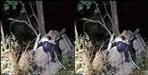 Truck fell into a ditch on Garampani-Almora National Highway