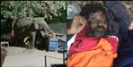 rishikesh elephant killed a sadhu