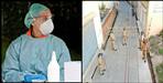 uttarakhand Coronavirus latest update 1 pm 31 may