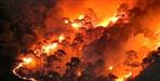 Elderly death in Chamoli forest fire