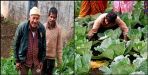 Retired soldier did organic vegetable cultivation on mountain
