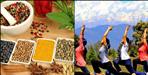 Uttarakhand Establish 13 Model Ayush Villages for Ayurveda Promotion