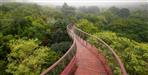 Uttarakhand first canopy walkway to be built in Rudraprayag