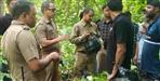 Tiger Attack Rumor Triggers Panic in Haldwani
