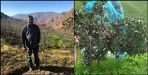 Birwan singh made agriculture the basis of progress at tehri